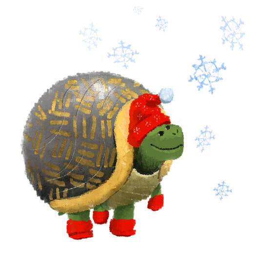 Snowy Turtle